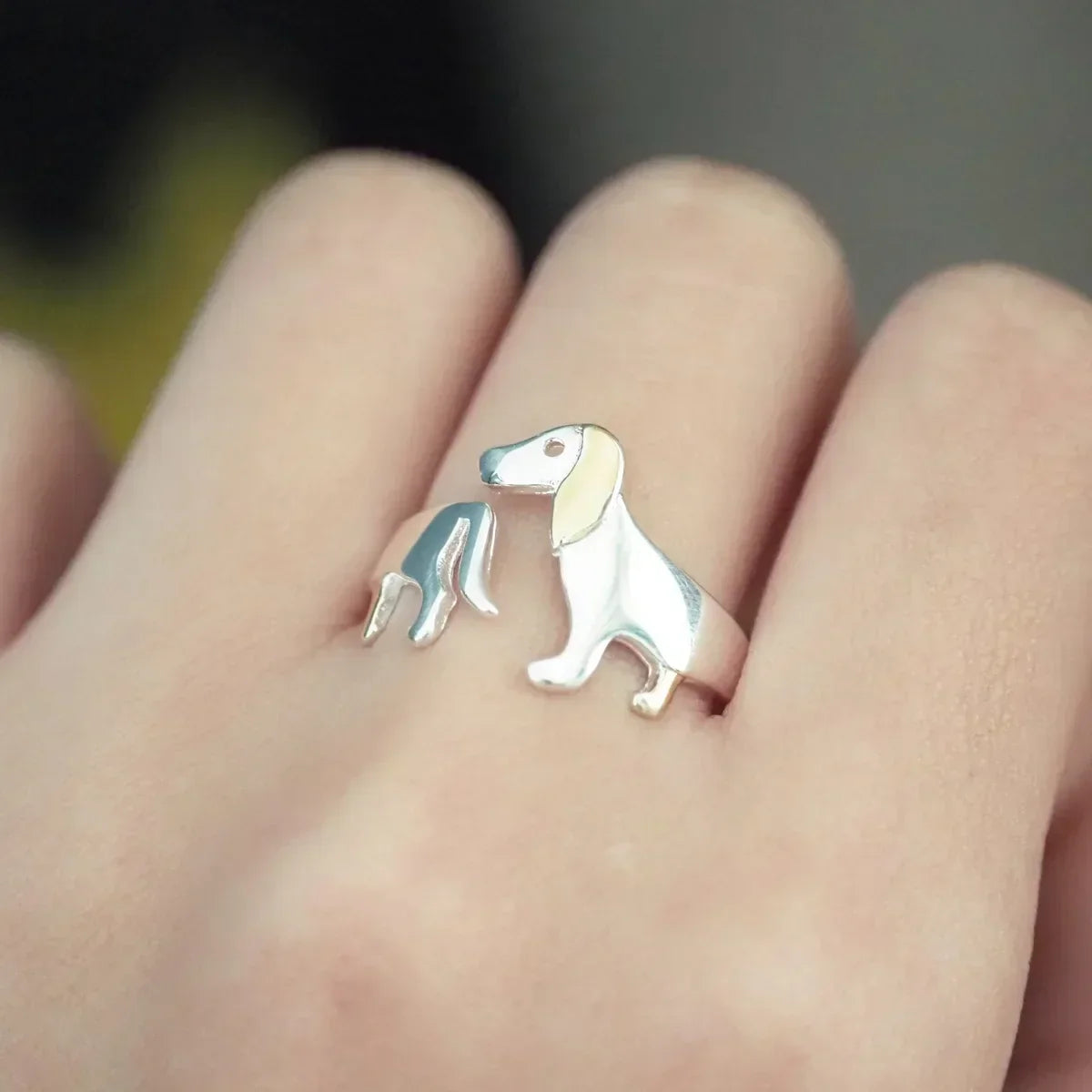 Anillo Dachshund